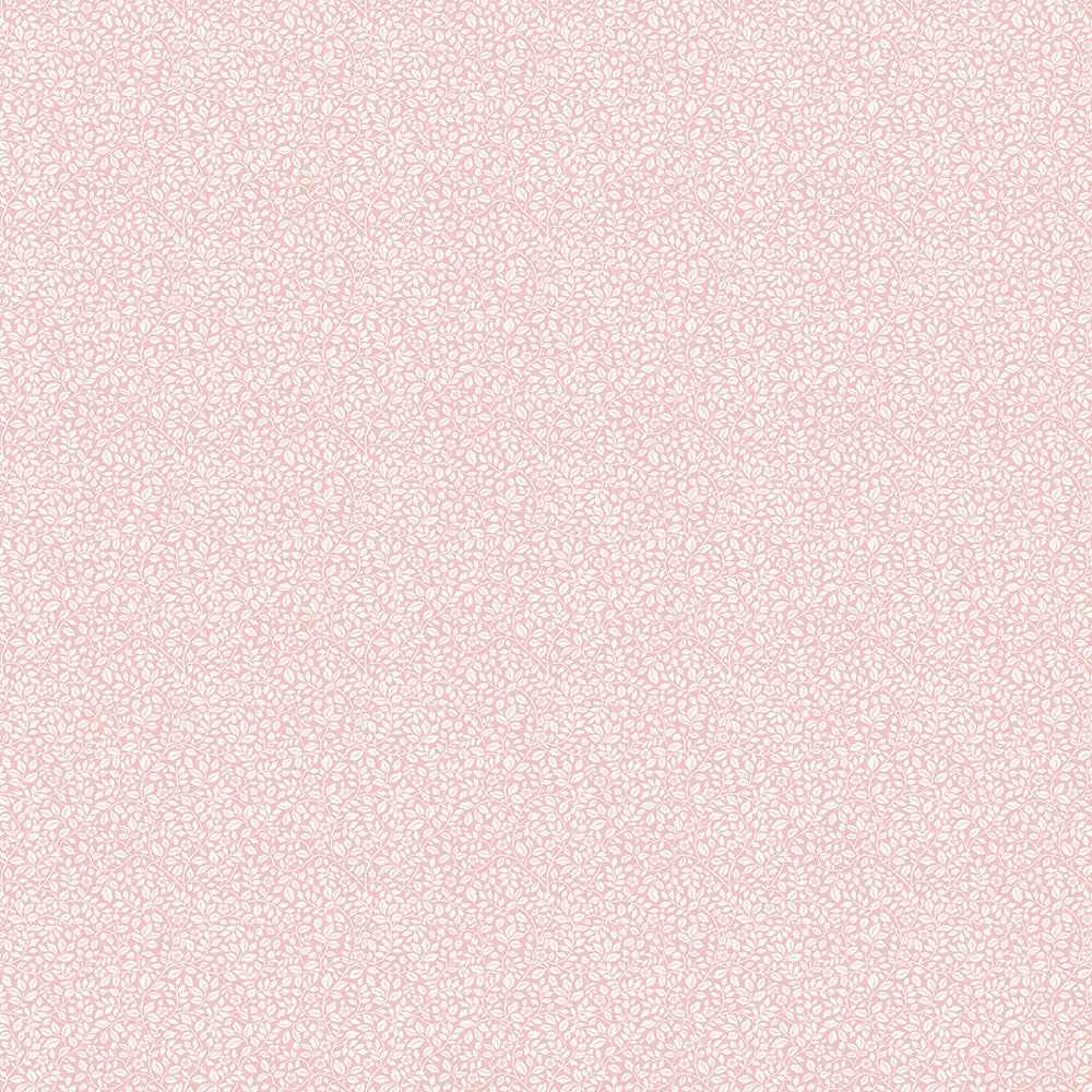 Image de 