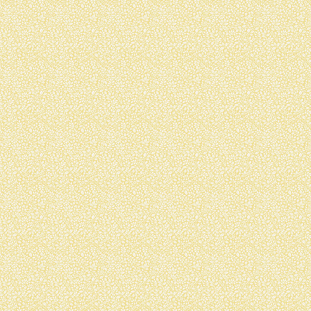 Image of 