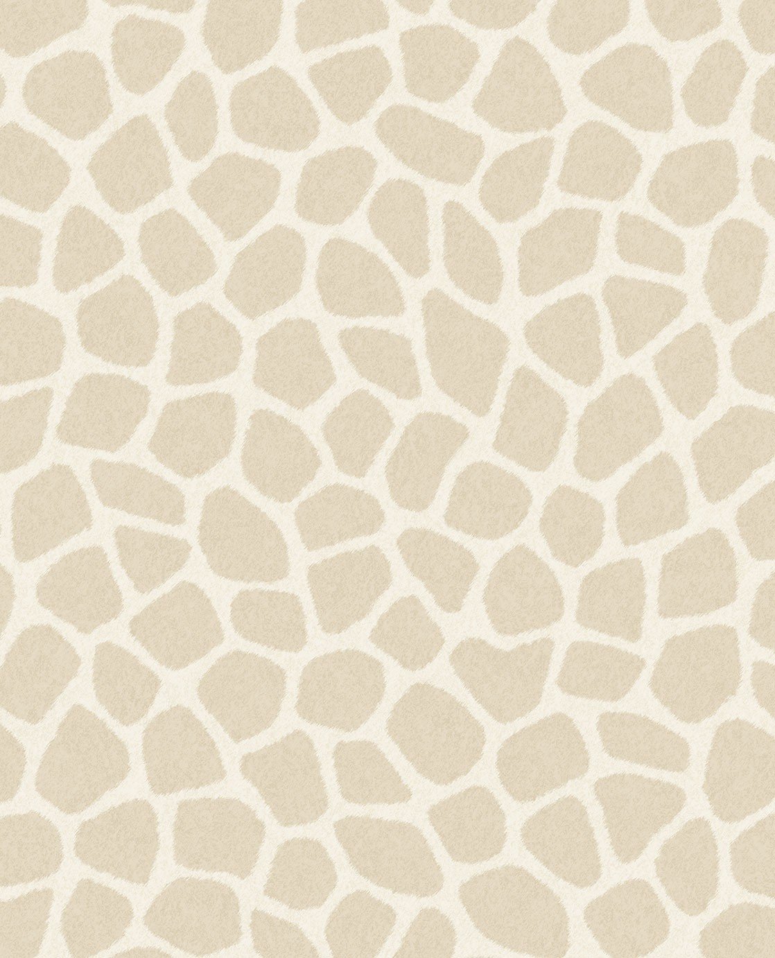 Image of 