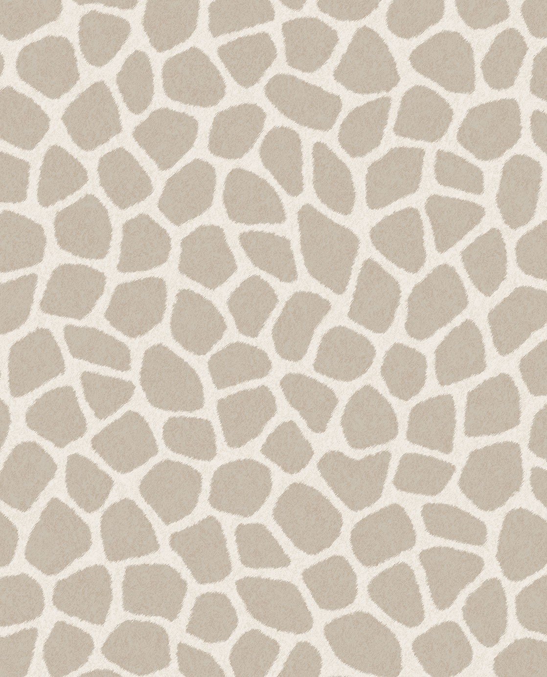 Image of 
