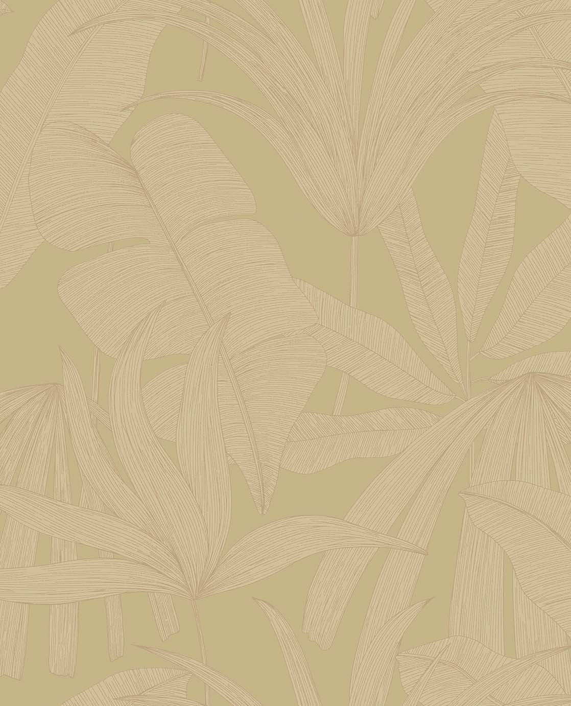 Image of 