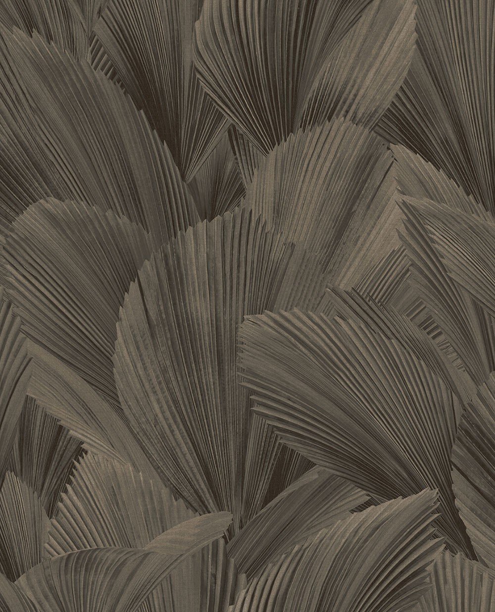 Image of 