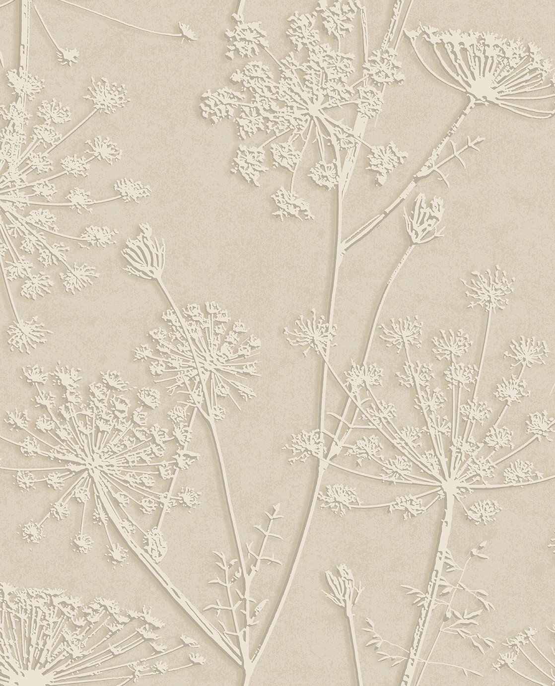 Image of 