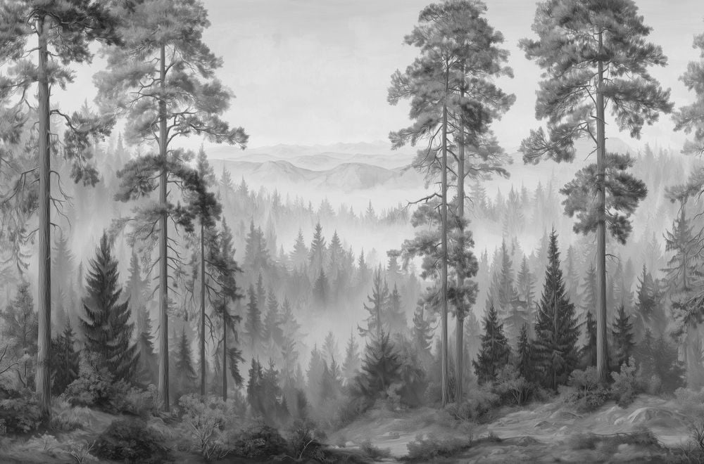 Image of 
