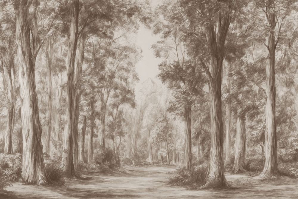 Image of 
