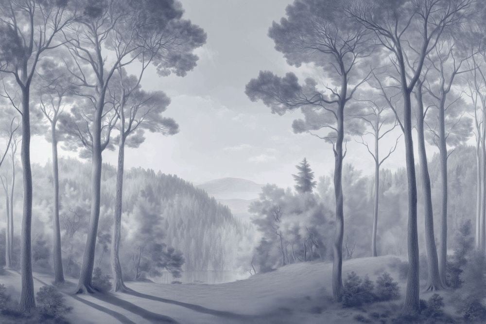 Image de 