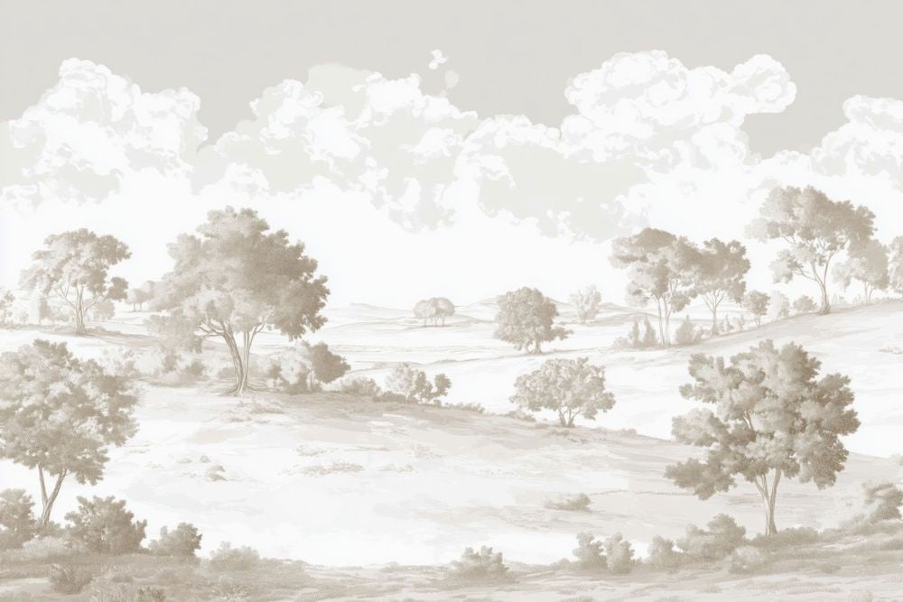 Image of 
