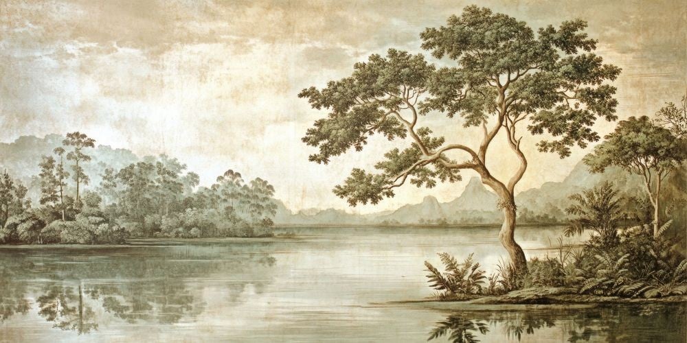 Image of 
