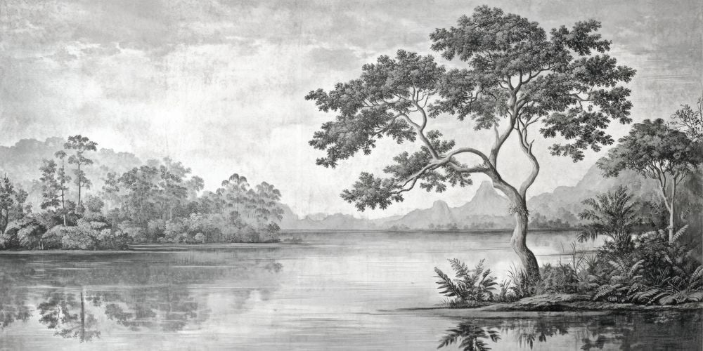 Image of 