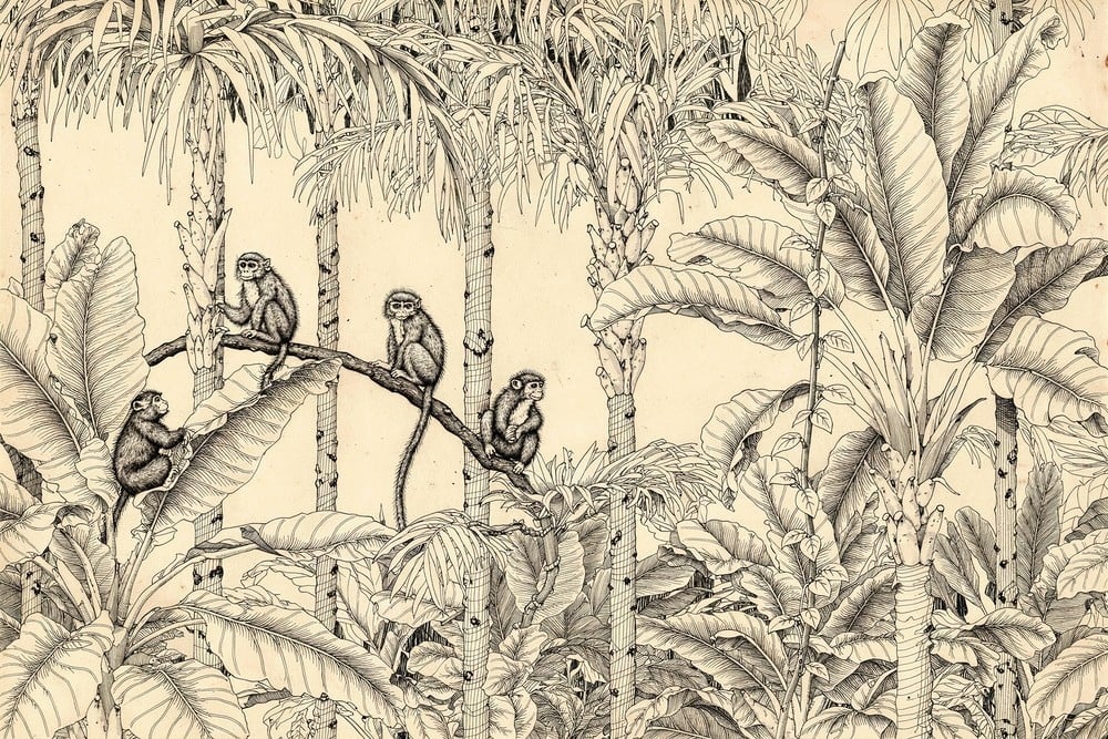 Image of 