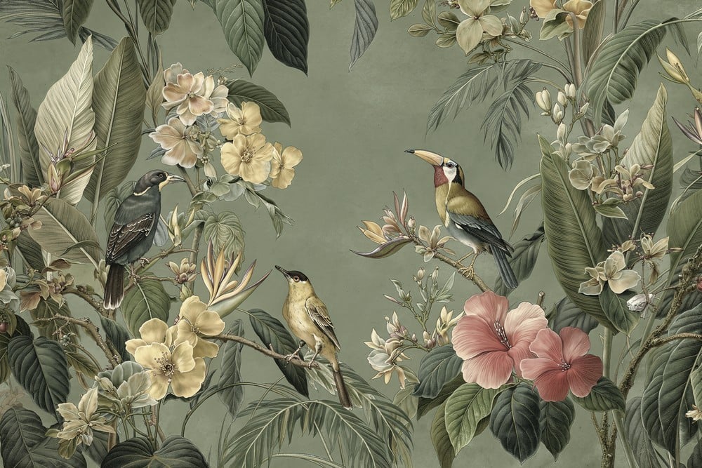 Image of 