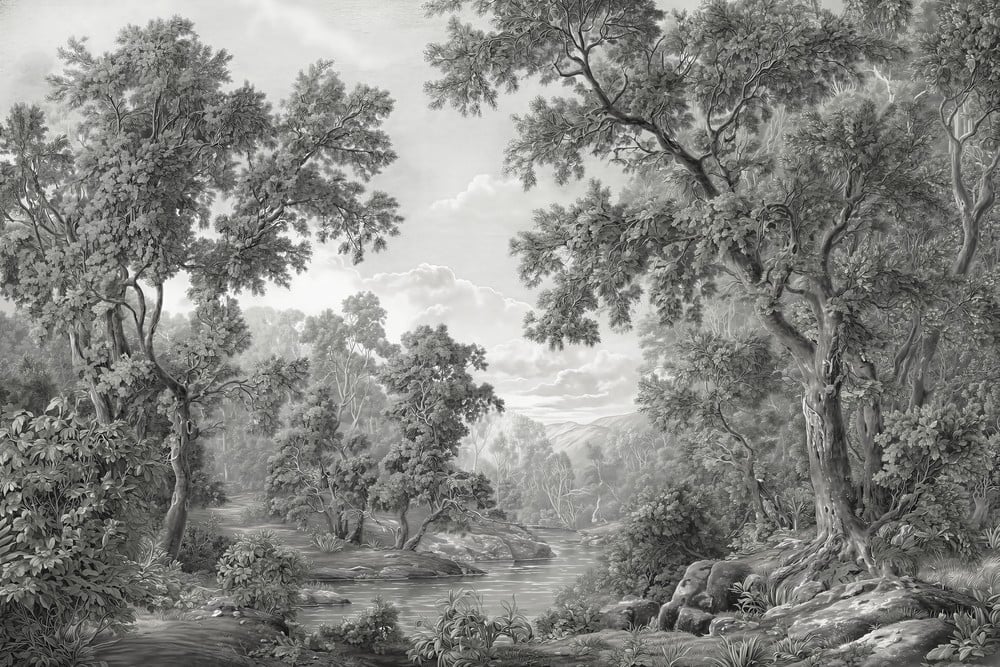 Image of 