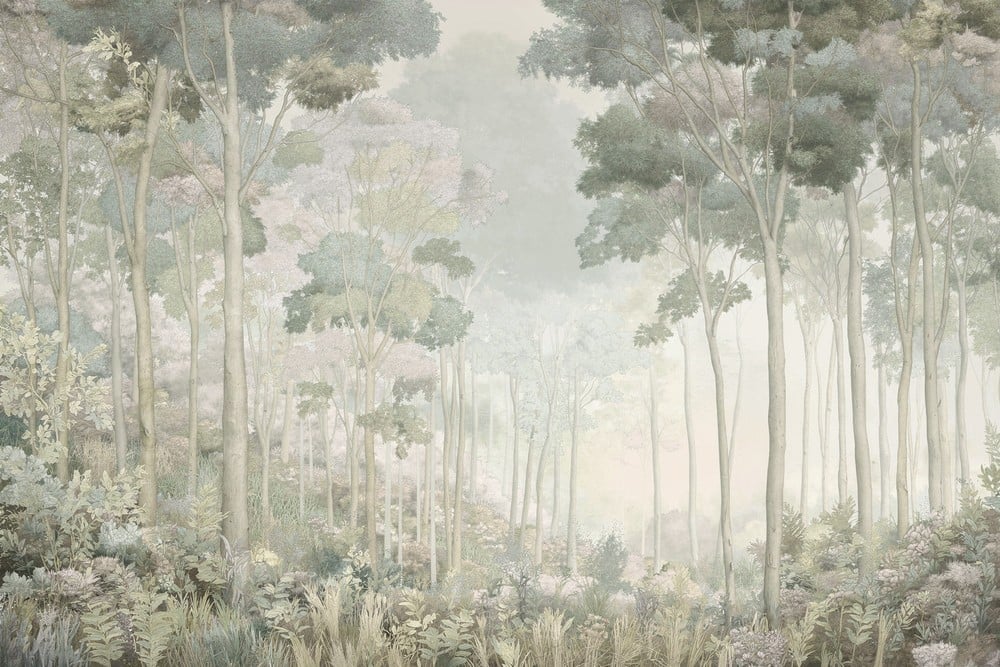 Image of 