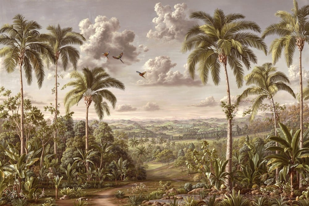 Image of 