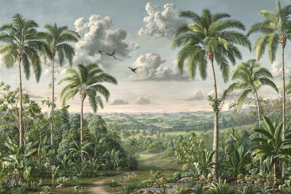 Image de 