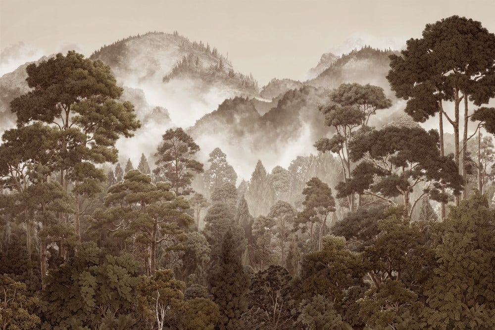 Image of 