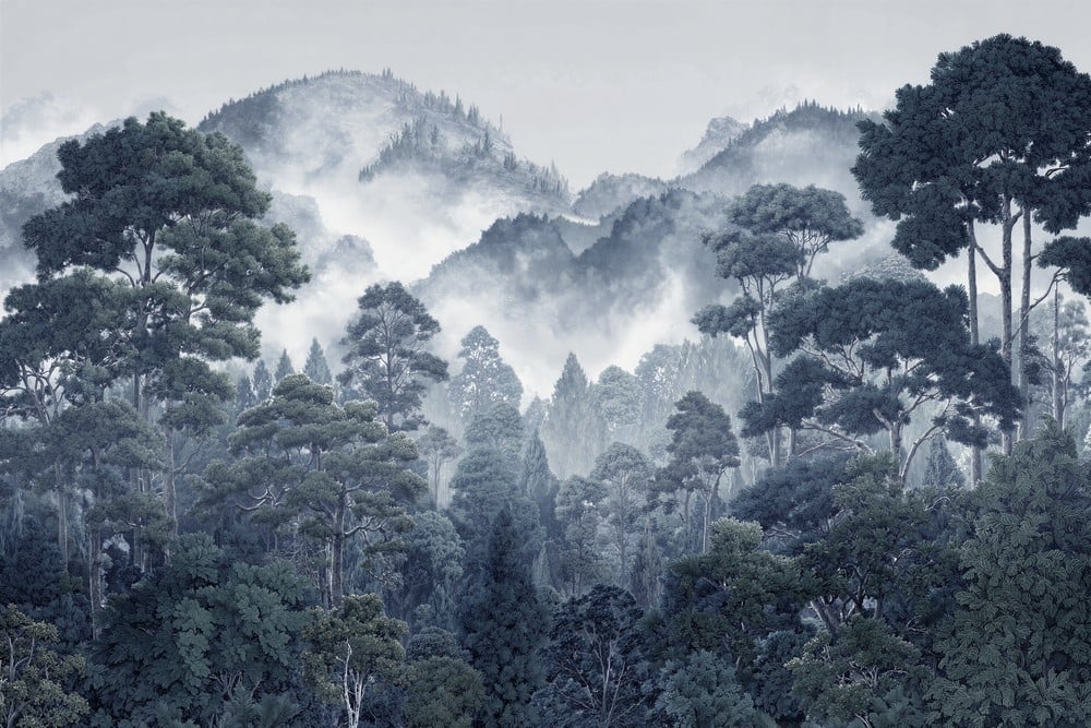 Image of 