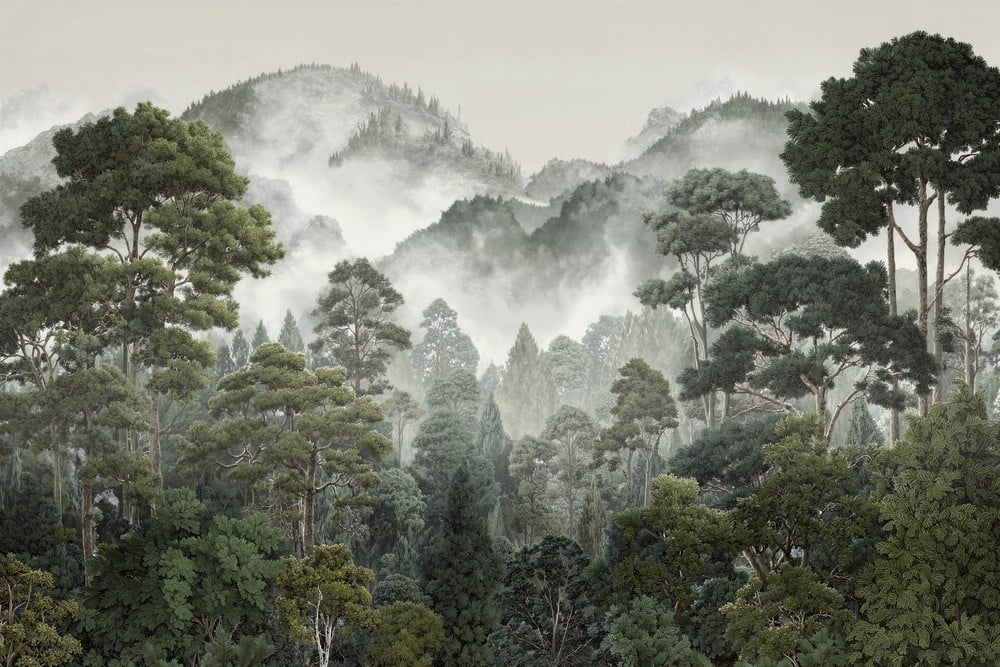 Image of 