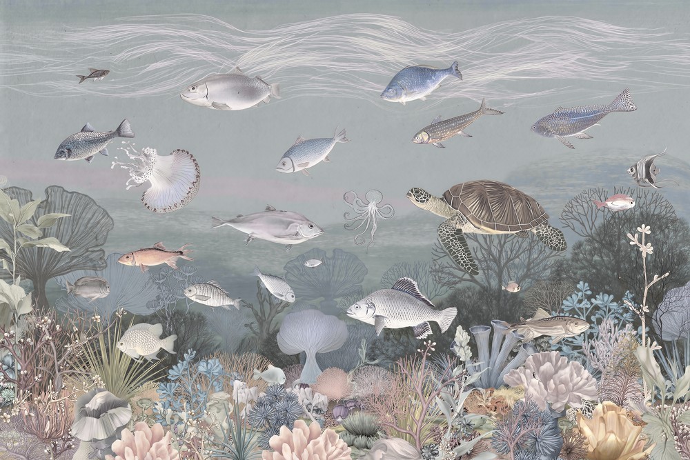 Afbeelding van 