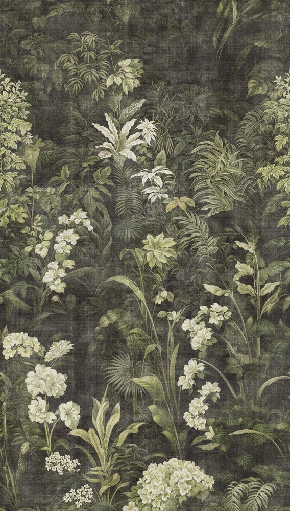 Image of 