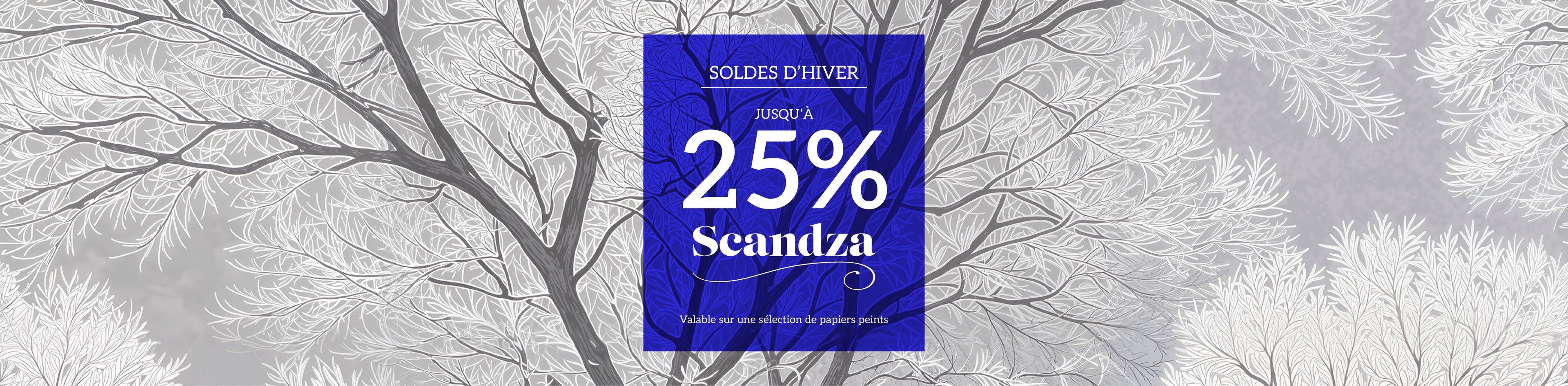 Scandza 25%