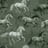 Image of 