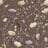 Bild von 