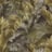 Bild von 