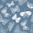 Bild von 