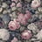 Bild von 