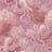 Bild von 