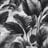 Bild von 