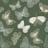 Bild von 