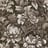 Bild von 