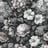 Bild von 