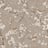 Bild von 