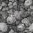 Bild von 