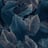 Bild von 