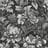 Bild von 