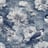 Bild von 