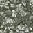 Bild von 