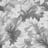 Bild von 