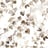 Bild von 