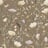Bild von 