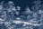 Kuva kohteesta 