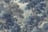 Image of 