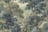 Image of 