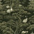 Image de 