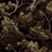 Image of 