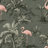 Image of 